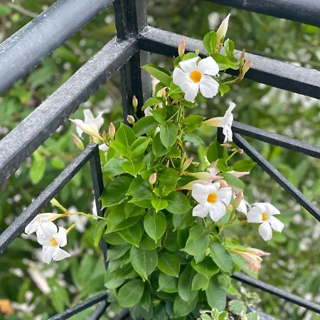 شقة Lumturi Resident