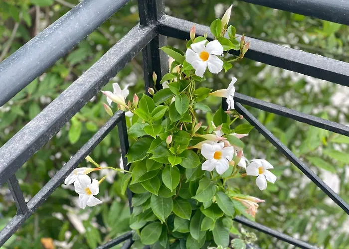 Apartmán Lumturi Resident